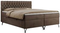 BOXBETT GRIMALDI 200/200 Braun Velvet - H3