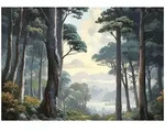 FOTOTAPETE 3D Effekt Wald Natur 150x105