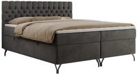 BOXBETT GRIMALDI 140/200 Dunkelgrau Velvet - H4