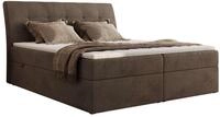 BOXBETT DAGOS 200/200 - Braun Velvet - H4 - Topper T25
