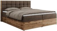 BOXBETT ALBERO 1 - 180/200 Braun Velvet - H3