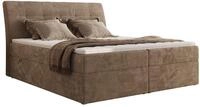 BOXBETT DAGOS 120/200 - Braun Schenille glatt - H3 - Topper T25