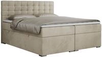 BOXBETT SUSAN 180/200 Beige Velvet - H4