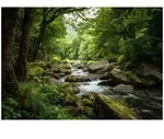 FOTOTAPETE Wald Natur Gr&uuml;n 400x280 cm