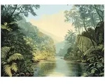FOTOTAPETE Dschungel Natur Tapete Wohnzimmer Schlafzimmer 150x105