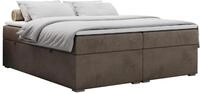 BOXBETT BESS 120/200 Braun Velvet - H4