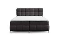 BOXBETT Sophie In Rolf