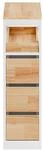 SCHRANK zur Toiletten-Nutzung BZR54-III-WN
