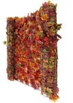 BALKONSICHTSCHUTZ BLATT Rot