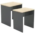 Hocker-Set Esal 2er-Set Anthrazit