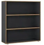 Aktenregal Salia B100 Anthrazit/Honigeiche