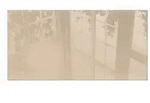 GLASPLATTE f&uuml;r Kamin 100x50 cm