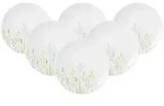 BROTTELLER Liberty Meadow Grasses wei&szlig;-bunt &oslash; 17,5 cm 6er Set