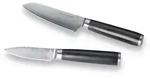 Messerset Damaszener Schwarz/Silber 2-teilig