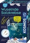 KOSMOS 654160 Fun Science - Wuselnde Salzkrebse,Erwecke die Urzeit zum