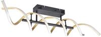 Trio Leuchten LED Deckenleuchte Sequence 641810208, Aluminium Messing/Schwarz matt,
