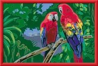 Ravensburger CreArt Bunte Papageien - Malen nach Zahlen ab 9 Jahre | Malset mit