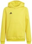 Adidas Unisex Kinder Entrada 22 Sweat Hoodie, Team Yellow/Black, 116