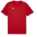 PUMA Herren Teamfinal Training Jersey Pullover
