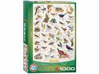 Eurographics 6000-1259 Vögel Puzzle, Mehrfarbig, 1000