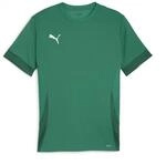 teamGOAL Matchday Jersey