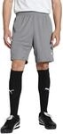PUMA teamGOAL Shorts, Unisex-Erwachsene Gestrickte Shorts, Cast Iron-PUMA White,