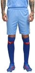 PUMA teamGOAL Shorts, Unisex-Erwachsene Gestrickte Shorts, Team Light Blue-PUMA