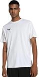 PUMA teamGOAL Jersey