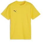 Puma Unisex Teamgoal Trikot Jr T-Shirt, Faster Yellow-Puma Black, 140 EU