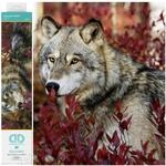 Diamond Dotz DQ12-001 Squares Autumn Wolf, ca. 42 x 57 cm gro&szlig;, Diamond...