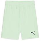 Puma teamGOAL Shorts Jr, Unisex-Erwachsene Gestrickte Shorts, Fresh Mint-Puma...