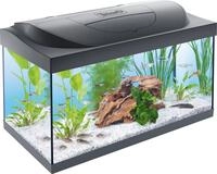 Tetra Starter Line 54 L Aquarium Komplett-Set - inkl. Tag- & Nachtlicht