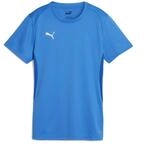 Puma teamGOAL Jersey Wmn, Unisex-Erwachsene T-St&uuml;ck, Ignite Blue-Puma White,