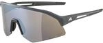 ALPINA, midnight-grey matt