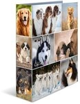 HERMA Ordner A4 Hunde, 7 cm breit, Kinder Ringordner mit Tier Motiv, bunter