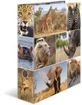 HERMA Ordner A4 L&ouml;we Set, 10 St&uuml;ck, 7 cm breit, Kinder Ringordner mit Afrika...