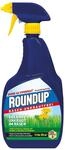 Roundup Rasen-Unkrautfrei AF, anwendungsfertiger Unkrautvernichter zur Bek&auml;mpfung