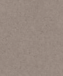 Rasch Tapeten Vliestapete (universell) Braun 10,05 m x 0,53 m Concrete 520873