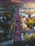 Ravensburger Puzzle 12000730 - Bl&uuml;hendes Bonn - 1500 Teile Puzzle f&uuml;r...
