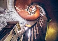 Ravensburger Puzzle 12000182 - Oak Spiral, Lost Places - 1000 Teile Puzzle f&uuml;r