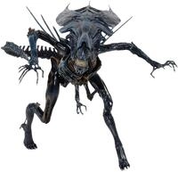 Aliens Xenomorph Queen Ultra Deluxe Actionfigur 15" / 30"