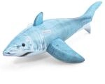 1.83m x 1.02m Realistic Shark Ride-On
