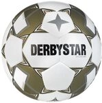 Derbystar Brillant APS v24
