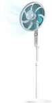 Cecotec Standventilator EnergySilence 610 Max Flow 70 W, 16 Zoll Durchmesser, 4