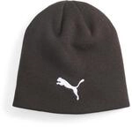 Puma Unisex Individualwinterized Tech Beanie, Puma Black-Puma Wei&szlig;, Einheitsgr&ouml;&szlig;e