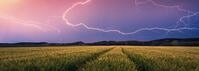 Ravensburger Puzzle 12000685 - Nature Edition, Sommergewitter - 500 Teile...