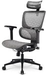 Sharkoon OfficePal C40M