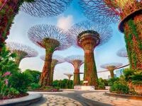 Ravensburger Puzzle 12001396 - Gardens by the Bay at Singapore - 1500 Teile