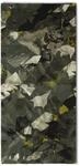 Buff Coolnet Uv&reg; Multifunktionstuch Hetch Forest Green Unisex Erwachsene