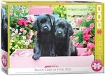 EuroGraphics EG65005462 Puzzle 500 Teile-Black Labs in Pink Box, verschieden